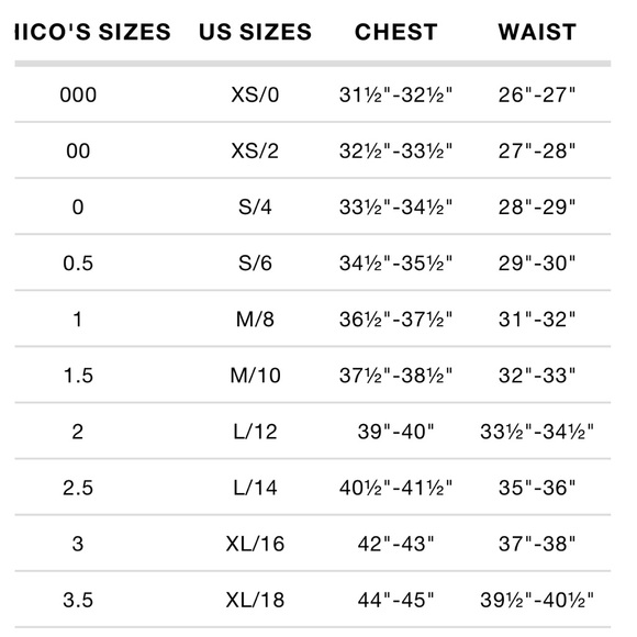 Chico’s Semi Sheer Animal Print 3/4 Sleeve Button Front Blouse Top - Picture 10 of 10